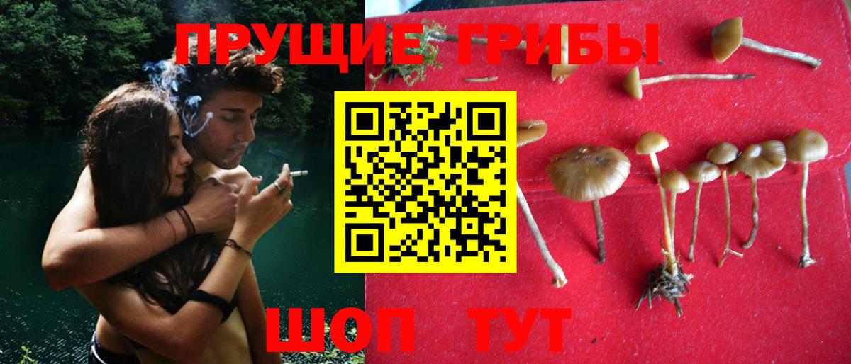 Псилоцибиновые грибы GOLDEN TEACHER  Галлюциногенные грибы MAGIC MUSHROOMS  Оренбург  закладки  Вход с VPN 